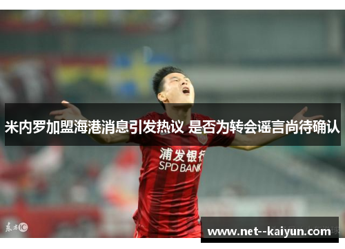 米内罗加盟海港消息引发热议 是否为转会谣言尚待确认