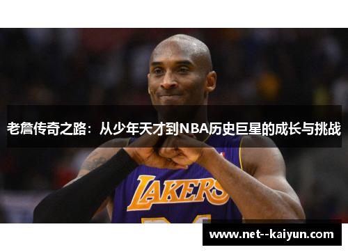 老詹传奇之路：从少年天才到NBA历史巨星的成长与挑战