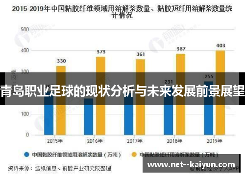 青岛职业足球的现状分析与未来发展前景展望 青岛职业足球的现状分析与未来发展前景展望