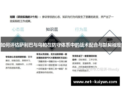 如何评估萨利巴与乌帕在防守体系中的战术配合与默契程度